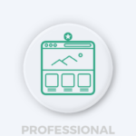 Website Design & Development - Professional